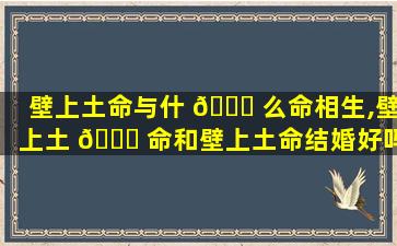 壁上土命与什 🐕 么命相生,壁上土 🐎 命和壁上土命结婚好吗